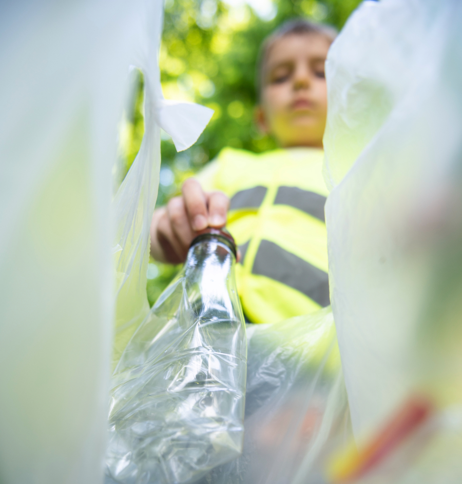 Descripción de la imagen